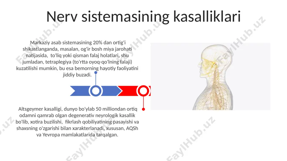 nerf sistemesi va kassalliklari - Page 3