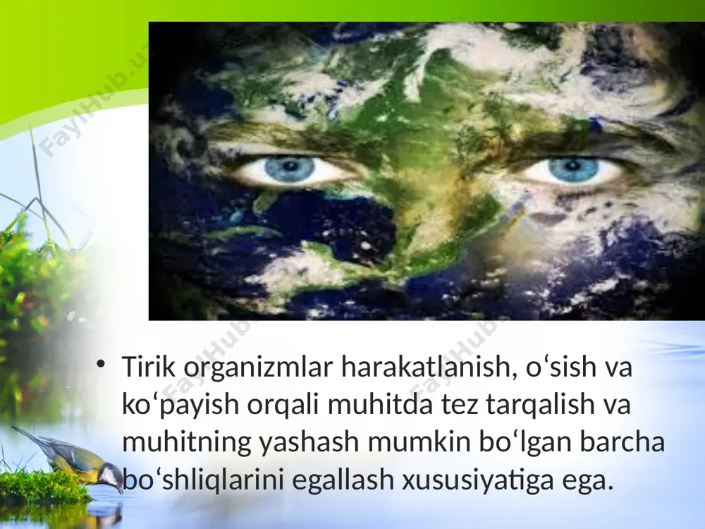 biosferadagi tirik moddaning xususiyatlari va funksiyalari. 11 - sinf - Page 4