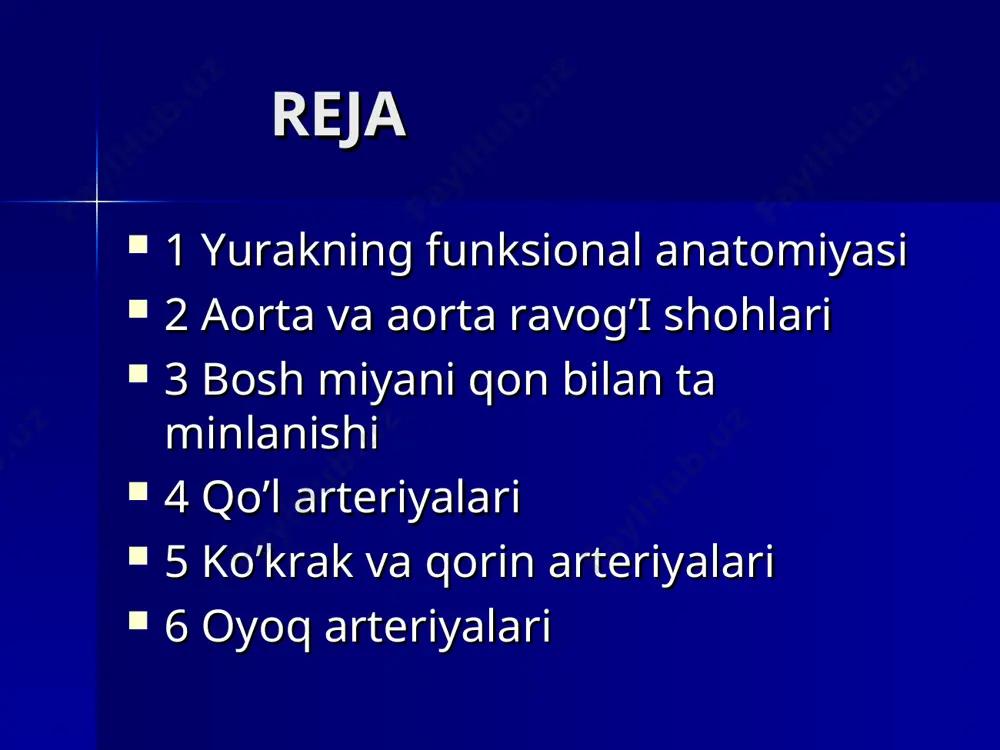 qon tomirlar tizimi - Page 3