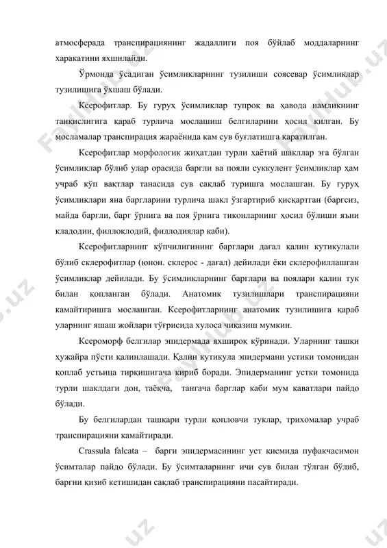 ликлар фотосинтезга поялари қатнашиб, барглари яхши ривожланмаган ёки эрта баҳорда тўкилиб кетади. поясида эпидерманинг тагида палисад ҳужайралар ривожланган. ксерофитларнинг ер устки қисми билан биргаликда ер остки қисми ҳам яхши ривожланиб, жуда чуқур ўсиб ер ости сувидан фойдаланади. баъзи ксерофитлар кўп сонли вақтинчалик илдизлар ҳосил қилиб, озгина ёғган ёмғир сувларидан фойдаланади. ўсимликларнинг ўсадиган муҳитига бўлган муносабатига кўра экологик гуруҳларга бўлиниши. баъзи ўсимликлар ксероморф белгиларга эга бўлатуриб, минерал моддалар етишмаган кучсиз тупроқларда яшайди, яъни ботқоқликларда, бундай ўсимликларни олиготрофлар (олигос – кичик, трофе - озиқланиш). бу ўсимликларга сув етарлик бўлсада барглари майда, дағал ва бошқа бир қанча белгилари билан сувни кам буғлатишга мослашган. тупроқдаги озиқ моддаларнинг етарлича бўлмаганлиги сабабли сув танқис ерда ўсган ўсимликлар каби ўзига хос айрим белгиларни пайдо қилади (майда баргли, майда ҳужайрали). лекин олиготрофларнинг анатомик тузилиши ксерофитлардан фарқи, уларда йирик ҳужайра оралиқлари бўлиб, ботқоқдаги етмаган кислородни тўлдириб туради. галофитлар. шўр тупроқларда ўсадиган ўсимликларни галофитлар дейилади (галос - соль). бу ҳам …