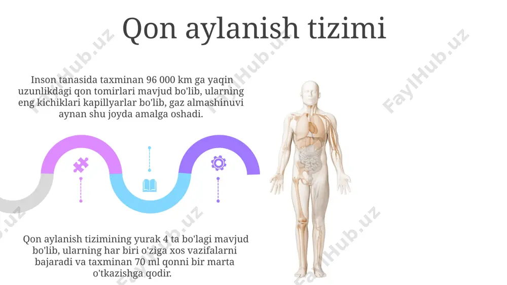 odam tanasining anatomik tuzilishi - Page 5