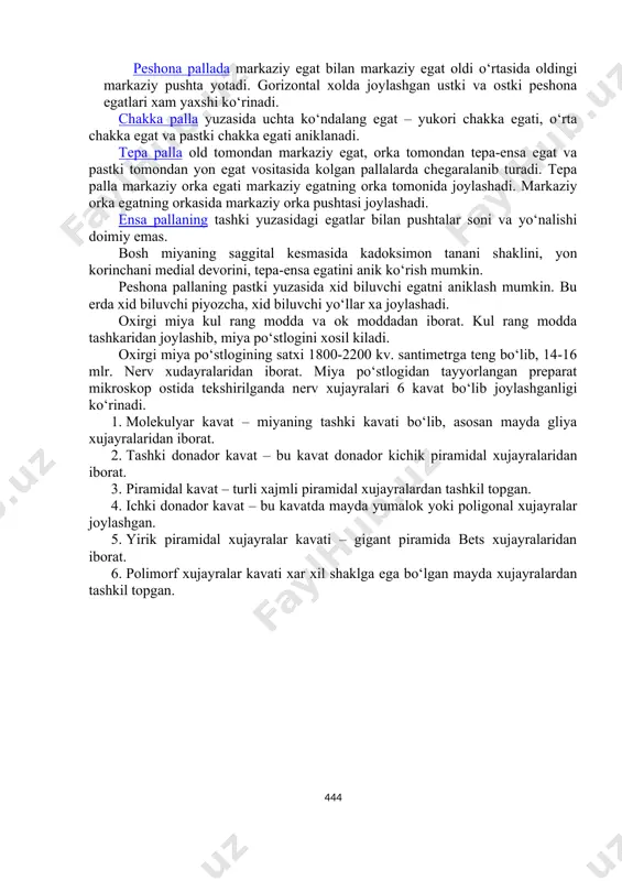 tepa-ensa egat ostida ensa palla joylashadi. agar lateral egat tubi ochilsa, beshinchi palla – orolchani ko‘rish xam mumkin. xar bir pallaning satxida o‘ziga xos pushta va egatlar joylashgan. peshona pallada markaziy egat bilan markaziy egat oldi o‘rtasida oldingi markaziy pushta yotadi. gorizontal xolda joylashgan ustki va ostki peshona egatlari xam yaxshi ko‘rinadi. chakka palla yuzasida uchta ko‘ndalang egat – yukori chakka egati, o‘rta chakka egat va pastki chakka egati aniklanadi. tepa palla old tomondan markaziy egat, orka tomondan tepa-ensa egat va pastki tomondan yon egat vositasida kolgan pallalarda chegaralanib turadi. tepa palla markaziy orka egati markaziy egatning orka tomonida joylashadi. markaziy orka egatning orkasida markaziy orka pushtasi joylashadi. ensa pallaning tashki yuzasidagi egatlar bilan pushtalar soni va yo‘nalishi doimiy emas. bosh miyaning saggital kesmasida kadoksimon tanani shaklini, yon korinchani medial devorini, tepa-ensa egatini anik ko‘rish mumkin. peshona pallaning pastki yuzasida xid biluvchi egatni aniklash mumkin. bu erda xid biluvchi piyozcha, …