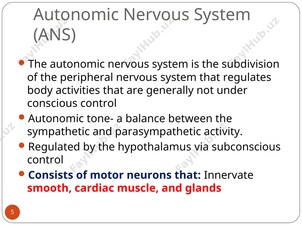 autonomic nervous system - Page 5