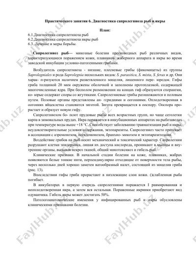 сапролегниоз диагностика — DOCX