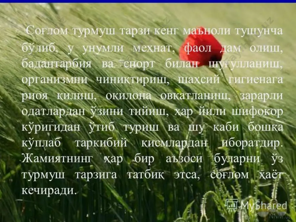 31 май – халқаро кашандаликка қарши курашиш куни - Page 2