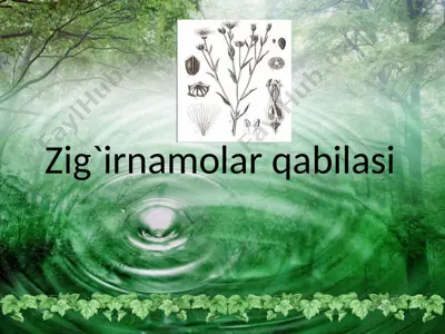 zig'irnamolar qabilasi — PPT