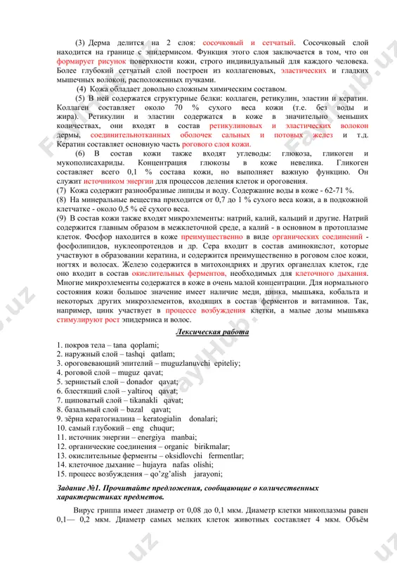 a i poluchil takoe nazvanie. bazalniy - samiy glubokiy, prilejashiy k derme sloy. onsoderjit kletki, kotorie soedineni mejdu soboy desmosomami. (3) derma delitsya na 2 sloya: sosochkoviy i setchatiy. sosochkoviy sloy naxoditsya na granitse s epidermisom. funktsiya etogo sloya zaklyuchaetsya v tom, chto on formiruet risunok poverxnosti koji, strogo individualniy dlya kajdogo cheloveka. bolee glubokiy setchatiy sloy postroen iz kollagenovix, elasticheskix i gladkix mishechnix volokon, raspolojennix puchkami. (4) koja obladaet dovolno slojnim ximicheskim sostavom. (5) v ney soderjatsya sgrukturnie belki: kollagen, retikulin, elastin i keratin. kollagen sostavlyaet okolo 70 % suxogo vesa koji (t.e. bez vodi i jira). retikulin i elastin soderjatsya v koje v znachitelno menshix kolichestvax, oni vxodyat v sostav retikulinovix i elasticheskix volokon dermi, soedinitelnotkannix obolochek salnix i potovix jelez i t.d. keratin sostavlyaet osnovnuyu chast rogovogo sloya koji. (6) v sostav koji takje vxodyat uglevodi: glyukoza, glikogen i mukopolisaxaridi. kontsentratsiya glyukozi v koje nevelika. glikogen sostavlyaet …