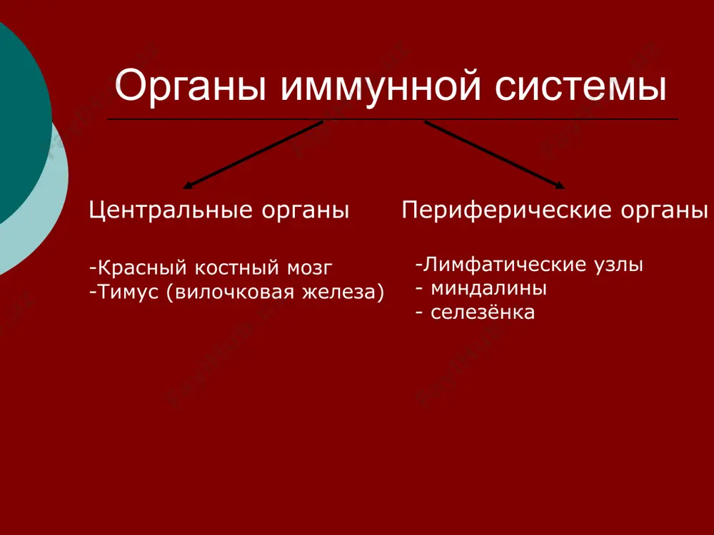 кая генетическая изменчивость, поэтому трудно создать универсальную вакцину против этого вируса как можно заразиться вич? пути передачи вич-инфекции половой пользоваться презервативами!!! при переливании заражённой крови при использовании нестерильных медицинских инструментов от матери к ребёнку: внутриутробно, при родах, при кормлении молоком не отмечены случаи передачи вич через: укусы насекомых бытовые контакты: рукопожатия, объятия, посуда, одежда, общие ванная и туалет поцелуи воздух (воздушно-капельным путём)