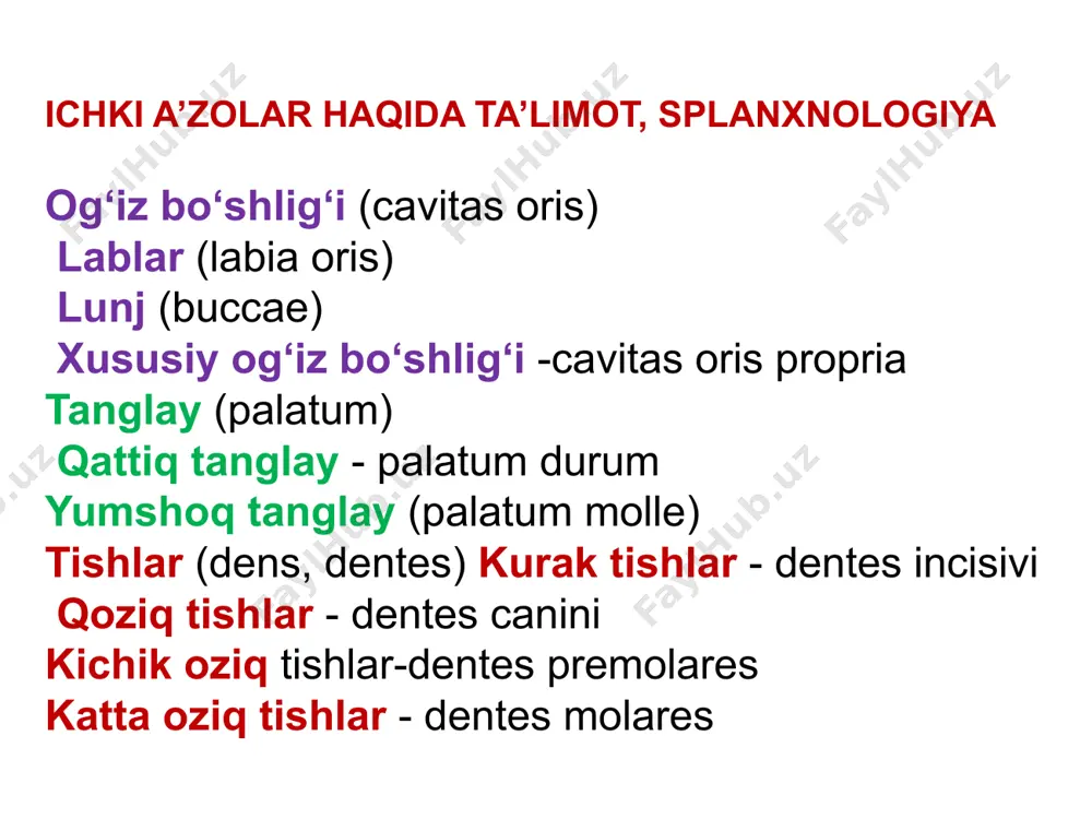 gach devori ko`p qavatli, me`da bir qavatli silindrsimon, ichaklarda bir qavatli silindrsimon jiyakli (vorsinkali) epiteliy turlari bilan qoplangan. 2. shilliq osti parda qavat shakllanmagan biriktiruvchi to`qimadan tashkil topgan bo`lib, ichak harakatchanligini ta`minlab, ichak yuzasi shaklini belgilaydi. 3. muskul qavat hazm nayining oldingi va orqa qismlaridan og`iz boshlig`i, halqum,qizilo`ngachning yuqori qismi va orqa chiqaruv teshigi ko`ndalang targ`il muskullardan, qolgan qismi silliq muskullardan tuzilgan. 4. tashqi seroz parda tarkibiy qismi qon tomirlar va nerv tolalari ko`p uchraydigan siyrak tolali shakllangan biriktiruvchi to`qimadan tashkil topgan. og`iz bo`shlig`i, halqum, qizilo`ngachning bo`yin va ko`krak qismlari hamda to`g`ri ichakning pastki qismi tolali biriktiruvchi to`qimadan tashkil topgan yupqa parda bilan qoplangan bo`lib, tunica adventicia deb ataladi.. og‘iz bo‘shlig‘i (cavitas oris) og’iz bo’shlig’i (cavitas oris) hazm kanalining boshlang’ich bo’limi hisoblanadi. bu bo’shliq yon tomondan lunjlar bilan yuqoridan tanglay, pastdan og’iz bo’shlig’ining tubi bilan chеgaralangan. orqa tomonda og’iz bo’shlig’ining dеvori yo’q. bu tomonda og’iz bo’shlig’i tomoq orqali halqum bo’shlig’iga …