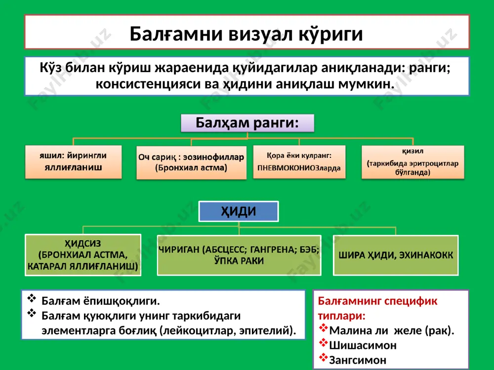 балғам таҳлили - Page 4