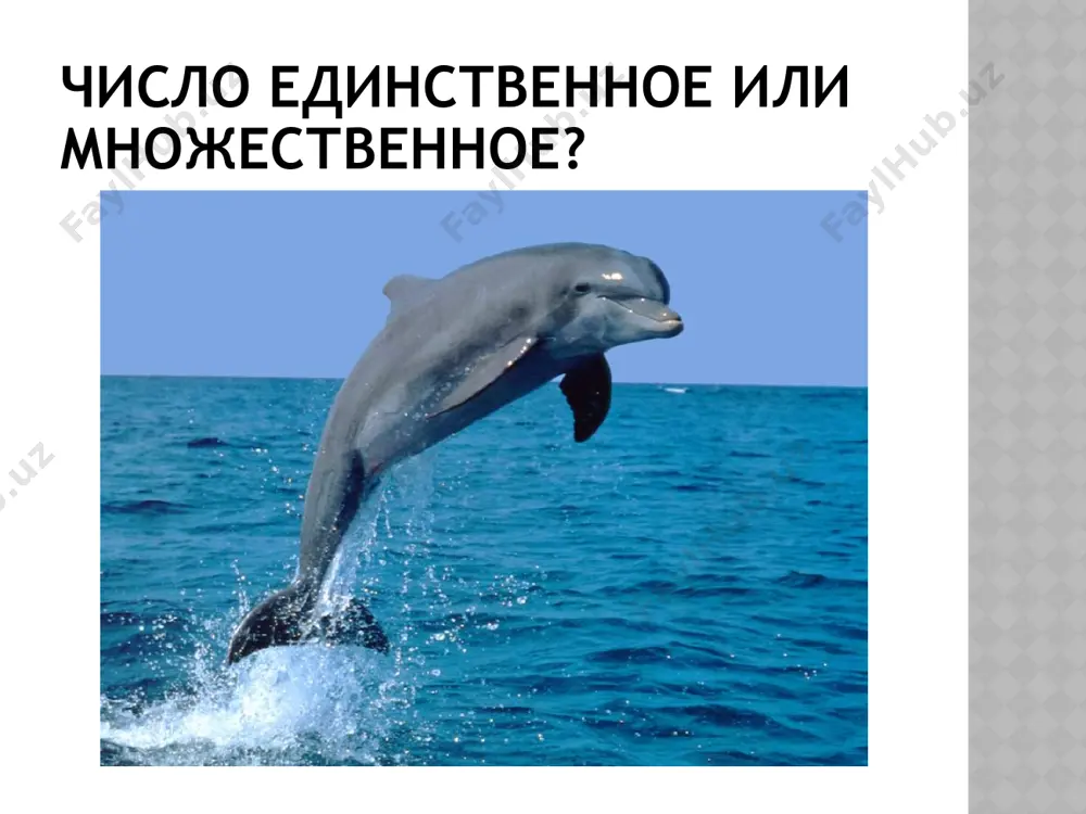 как обозначить единичность и множество предметов. 7 - sinf - Page 5