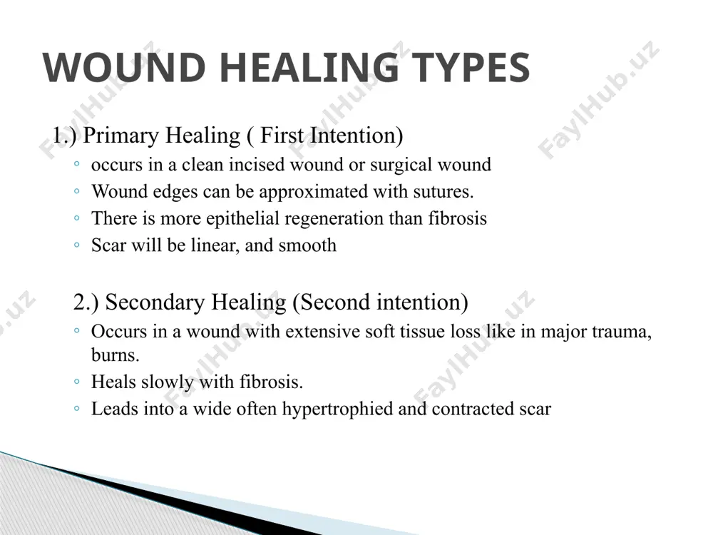 wound management - Page 4