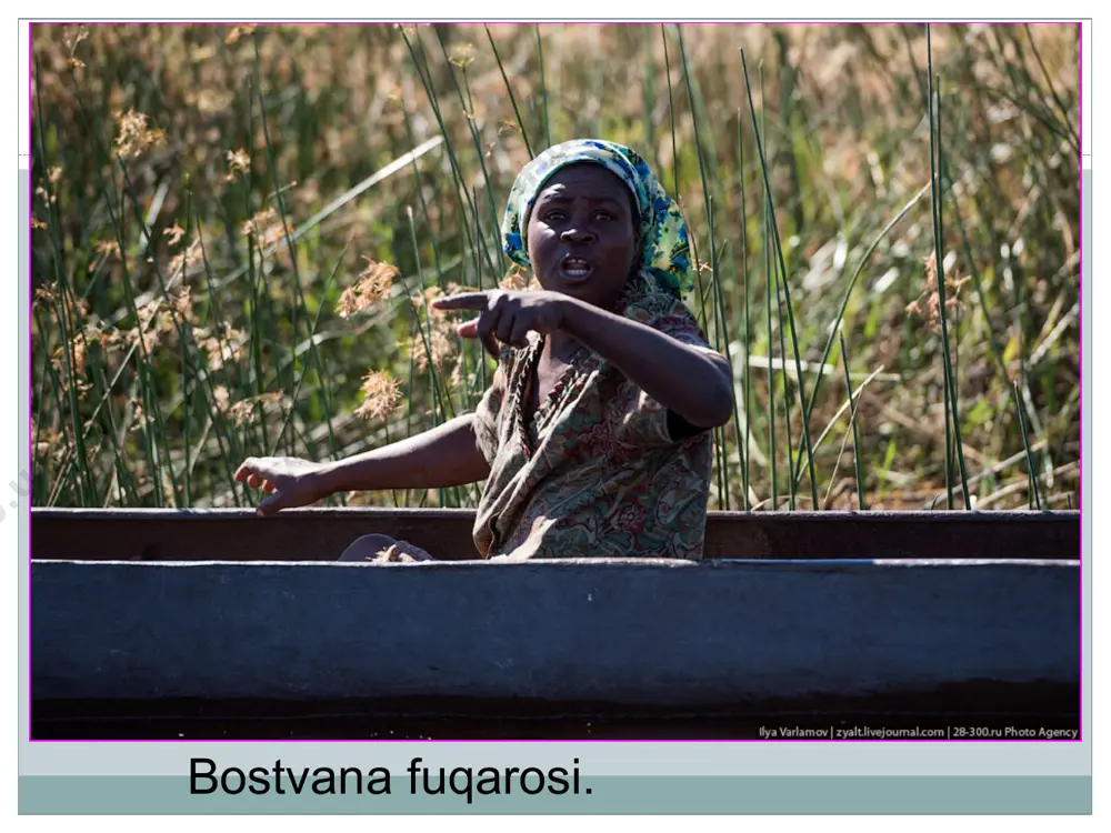 abve respublikasi (1980-yili) keng ko`lamli taraqqiyot yo`liga o`ta boshlagan o`lkadir. komor baliqchilari. komor oroli. madagaskar. madagaskar. madagaskar oroli aholisining 41 foiz qismi nasroniy diniga o`tgan bo`lsa-da, asl qadimiy an`anaviy marosimlar va urf-odatlarga amal qiladilar. ularning tasavvurida ajdodlarning arvohlari ular bi-lan birga uyda yashaydi, avlodlarning turmushini, xo`jalikda, kundalik hayotida va diniy marosimlarida an`anaviy udumlarga rioya qilishlarini kuzatadilar. taxminan 10 % malagasiylar sunna mazhabidagi islom diniga, ozgina qismi esa shia mazhabiga itoat qiladilar. malagasiylarning tasviriy san`ati amaliy xarakterga ega bo`lib, tosh yoki yog`och o`ymakorligi, sopol idishlari va gazlamadagi tasvirlar, chipta va savatlardagi naqshlardan iborat. mozambik bayrog’i. mozambik. boshqa bantu xalqlaridagidek mozambikliklarda badiiy hunarmandchilik, ayniqsa, misgarlik, zafgarlik, o`ymakorlik keng tarqalgan. makonde xalqi hunarmandlarining yog`och haykallari jahonga mashhur. ularda pastki labi va burniga qalayi yoki ba`zan kumushdan uzuk taqish odati bo`lgan, har xil niqob kiyib raqsga tushish keng tarqalgan. aholining 3/2 qismi mahalliy an`anaviy diniy ibodatlarga, taxminan 16 foizga yaqini nasroniy diniga, 11,6 foizi …