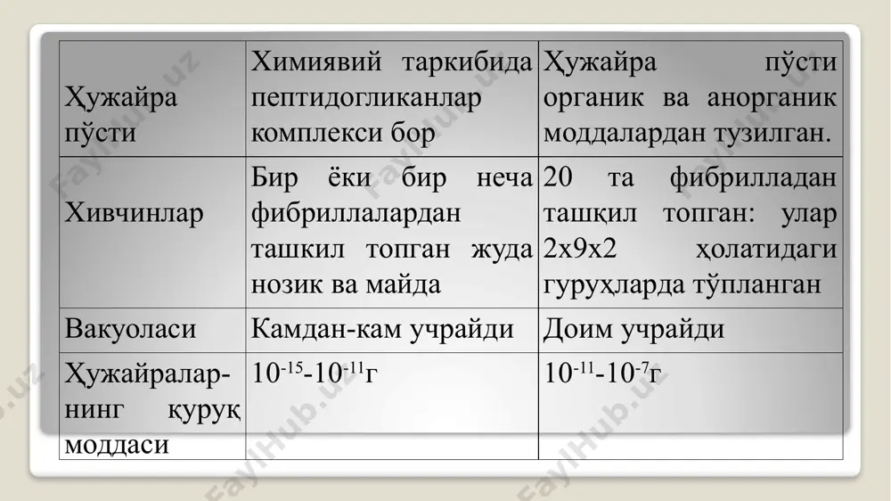 паразит формалари бор. ҳайвонларда турли - туман касалликларни вужудга келтиради. уларни 10 - 20% от қонининг зардоби қўшилган қаттиқ озиқ муҳитларида ўстириш мумкин. суюқ озиқ муҳитларда микопламалар коккисимон, юлдузсимон, дисксимон, ипсимон ва бошқа шаклли бўлиб, қаттиқ озиқ муҳитларда эса ўртаси қора майда колонияларни ҳосил қилади. берги микоплазмаларни прокариотлар оламининг микоплазмалар бўлимига ажратади. микоплазмалар одамда ва бошқа умуртқалилар орасида кенг тарқалган. микоплазмаларнинг ўзига хос хусусиятлари қуйидагилардан иборат: а) ҳужайралари плеоморф, диаметри 0,1 —1,0 мкм; б) ҳужайралари уч қаватли мембрана билан ўралган; в) бактерия рибосомаларига ўхшаш рибосомалари бор; г) ҳужайраларида рнк ва днк бор. днк қўш спиралли, молекуляр оғирлиги 4-108 дан 1 • 109 гача; д) сунъий озиқ муҳитида ўсади, агарли муҳитда майда колониялар ҳосил қилади; е) пенициллинга чидамли, лекин тетрациклинга сезгир актиномицетлар тузилиши жиҳатидан бактериялар ва тубан замбуруғларга ўхшайди. улар моғор замбуруғлар билан бактериялар орасидаги гуруҳҳга мансуб, маълум шаклдаги ядроси бўлмайди. бу гурух граммусбат бактериялардир. актиномицетлар гифаларининг узунлиги 600 мкм, эни …