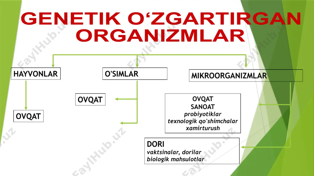 di, shu bilan birga pomidor o'zining tabiiy ta'mi va rangini saqlab qoladi. fda flavr savrni 1994 yilda tasdiqlagan; ammo, pomidorlar shunchalik nozikki, ularni tashish qiyin edi va ular 1997 yilga kelib bozordan chiqarildi. ishlab chiqarish va jo'natish bilan bog'liq muammolardan tashqari, pomidorning ta'mi ham juda yumshoq bo'lganligi xabar qilindi. maqsadli gen plazmid gen tashuvchisi qirqib olish gen joylashtirish gen genomga kiradi o'simliklar in vitro o'simliklarning regeneratsiyasi xromosomalar transgen o'simliklarni ko'paytirish gen tahlili agrobakterial usuli agrobakteriyalar balistik usuli oltin zarralari yoki volfram nishon gen bilan dnk gen quroli o'simliklarni o'zgartirish usullari bacillus thuringiensis oshqozon-ichak trakti epiteliysi hasharotlar hujayra lizisi buzilish ovqat hazm qilish bir hasharotning o'limi ry iii a gm kartoshka protein c ry iii a kolorado kartoshka qo'ng'iziga qarshilik bacillus thuringiensis oshqozon-ichak trakti epiteliysi hasharotlar hujayra lizisi buzilish ovqat hazm qilish bir hasharotning o'limi ry 1 ab gm makkajo'xori ry 1 ab zaharli karam chayon dumlarida zaharni dasturlashtiruvchi genni o'z …