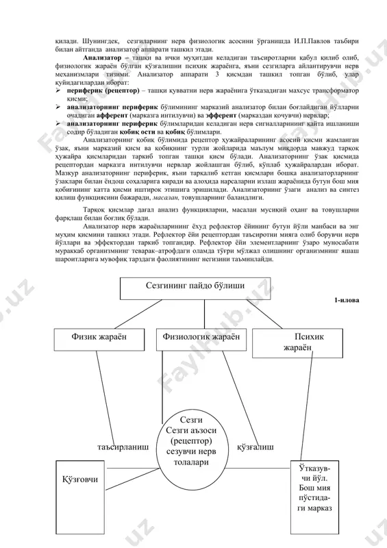 uning yuzaga kelishi o'z-o'zidan hosil bo'lmaydi. ular jumlasiga quyidagilar kiradi: sezgi a'zolariga ta'sir etadigan narsa va hodisaning bo'lishi. sezuvchi apparat, ya'ni analizatorning mavjud bo'lishi. masalan, havoning sovuqligini, temirning qattiqligini, qorning yumshoqligi va boshqalarni sezamiz. sezgi idrok bilan bog'liq bo'ladi, lekin narsa va hodisani idrok qilishdan oldin uni sezish lozim, shu bois sezgilar materiyaning sezgi a'zolarimizga ta'siri natijasidir. sezgi axborotlarini qabul qilib, tanlab, to'plab, har bir sekundda axborotlar oqimini qabul qilib va qayta ishlab miyaga etkazib beradi. natijada tevarak - atrofdagi tashqi olamni va organizm o'z ichki holatini adekvat “mos” aks ettirishi hosil bo'ladi. sezgi a'zolari tashqi olamning inson ongiga olib kiradigan yo'llaridan biridir. sezgilarning nerv – fiziologik asoslari ma'lumki, sezgilar faqatgina tashqi ta'sirlar natijasida hosil bo'lmay, balki organizmning ichki holatida ham amalga oshiriladi. sezgi nerv tizimining u yoki bu qo'zg'atuvchidan ta'sirlanuvchi reaktsiyalari tarzida hosil bo'ladi va har qanday psixik hodisa kabi reflektorlik xususiyatiga egadir. sezgilarning nerv – fiziologik asosini qo'zg'atuvchining …