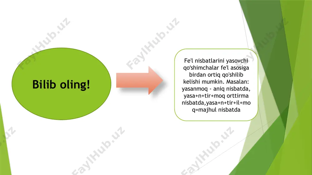 "buyuk allomalar" - Page 5