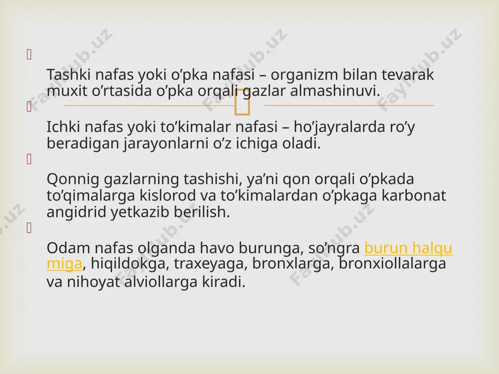 adi. o’ng bronx ikkinchisidan kattaroq bo’ladi. yot jismlar ko’pincha o’ng bronxga tushib qoladi.  kichik yoshdagi o’quvchilarning bronxlari tor, togaylari yumshoq, muskul va elastik tolalari ancha sust rivojlangan bo’ladi. bronxlarni ko’plab turgan shillik parda qon bilan mo’l – qul ta’minlanadiyu, lekin bir muncha quruk to’radi. bronxlarning o’sishi kichik maktab davrida sekin boradi va 13 yoshidan keyin ancha tezlashadi. bronxlar mayda bronxlarga, o’ndan so’ng esa bronxiollarga bo’linib, xar bir bronx bronx daraxtini hosil qiladi. bronxiollalar tarmoqlanib, oxiridi o’pka hujayralari alviollalar bilan tugaydi. o’pka – ko’krak qafasining tegishli yarmida joylashgan bo’lib, o’ng va chap o’pkadan iborat bo’ladi. 0020 ar bir o’pka konussimon bo’lib, o’stki qismi uchi, pastki kismi esa asosi deyiladi. bolalarning yoshi o’rta boshlashi bilan o’pkaning og’irligi va xajmi ortib boradi. yangi tug’ilgan bolalarda ikki o’pkaning og’irligi 50 – 57 g, 1 – 2 yoshda 225 g., 5 – 6 yoshda 350 g., 9 – 10 yoshda 395 g., 15 – …