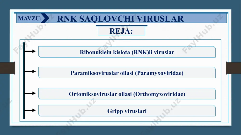 ema kerotokon’yuktivit, gerpetik isitma chaqaloqlar uchug‘i (qon orqali tarqalgan va jinsiy organlar uchuq) bolalarda suv chechak, katalarda o‘rab oluvchi temiratki rnk-viruslar orthomyxoviridae oilasi gripp a viruslari gripp v va s viruslari gripp (epidemiya, pandimiyalar, sporadik xollari) gripp (sporadik xollari, epidemiyalar) paramyxoviridae oilasi paragripp viruslari, nyukastl, respirator sinsital virus (rsv) tepki virusi qizomiq virusi o‘tkir resperator kasalliklar (o‘rk) tepki qizomiq coronaviridae –oilasi korona viruslar o‘tkir resperator kasalliklar (o‘rk) picornaviridae oilasi rinoviruslar a10, a21, a24, a2, a4, a5 koksaki viruslari va boshqalar yesno20 virusi va boshqalar rinitlar,bronxitlar, o‘tkir resperator kasalliklar (o‘rk) gerpangin va o‘tkir resperator kasalliklar (o‘rk) reoviridae oilasi rioviruslar o‘tkir resperator kasalliklar (o‘rk), zotiljam, bronxitlar ribonuklein kislota (rnk)li viruslar odam uchun patogen viruslarining ko‘p qismi rnk tutuvchi viruslarga mansub. ular bir-biridan genomning tuzilishi, o‘zgaruvchanligi bilan farq qiladi. natijada yangi viruslar paydo bo‘ladi. ko‘pgina rnk tutuvchi viruslar xo‘jayin hujayraning sitoplazmasida ko'payadi, ammo ayrim viruslar rivojlanishning ma’lum bosqichida hujayra yadrosining ichida ham joylashadi. …