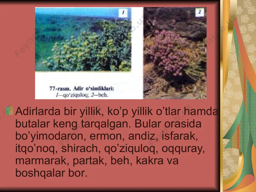 lar oilasi image1.wmf image2.png image6.jpeg image7.jpeg image8.jpeg image9.jpeg image10.jpeg image11.jpeg image12.jpeg image13.jpeg image14.jpeg image15.jpeg image16.jpeg image17.jpeg image3.png image4.png image5.png