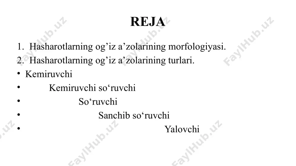 oldiqlar) bilan oziqlanish butunlay boshqa tipdagi og‘iz organlarining kelib chiqishiga olib kelgan. kemiruvchi og‘iz organining barcha qismlari to’liq bo’lishi, ko'p oyoqlilar og’iz apparati bilan o ‘xshashligi va nihoyat hamma hasharotlar lichinkalari uchun xos ekanligi uning kelib chiqishi birlamchi ekanligidan dalolat beradi. kemiruvchi og‘iz organiga misol qilib suvarakning og‘iz organini ko‘rsatish mumkin. suvarak og‘iz teshigini old tomondan xitin qoplagichdan hosil bo’lgan yagona ustki lab plastinkasi yopib turadi. bu labning kelib chiqishi bosh bo'g’imlari bilan bog’liq emas. labning ostida mayda tishchali bir juft yaxlit plastinkasimon yuqori jag ‘lar yoki mandibulalar joylashgan. ular boshning ikkinchi bo‘g‘im o’simtalaridan hosil bo’lgan va chaynashda ishtirok etadi. uchinchi va to‘rtinchi bosh bo’g’imlari o‘simtalari pastki jag’lar yoki 1 va 2 juft maksillalar deyiladi. ularning bo’g‘imlarga bolinganligi haqiqiy yurish oyoqlaridan kelib chiqqanligidan dalolat beradi. 1-juft pastki jag’ og’zining ikki yonida joylashgan bo’lib, har qaysisi asosiy bo‘g ‘im, ustuncha va uning ustida joylashgan tashqi va ichki o ‘simtalar hamda besh …