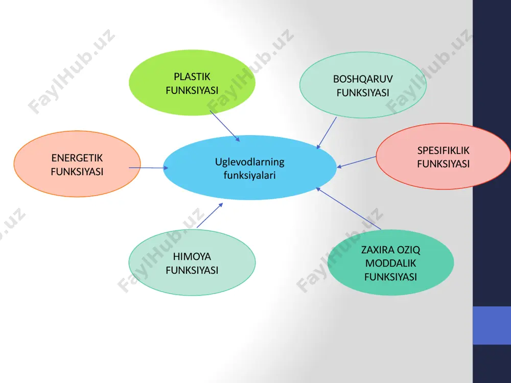 oldiqlarining bevosita donori bo lib, glyukoza-1-fosfat va utf dan hosil bo‘lgan mahsulot uridindifosfat glyukoza (utf-glyukoza) xizmat qiladi glikogen biosintezining bosqichlari glyukozo-1-fosfat utf bilan ta’sir1ashib, udf-glyukoza hosil qiladi. bu glikogen biosintezining amaliy birinchi bosqichidir. udf-glyukoza tarkibidagi glyukoza glikogenning glikozid zanjiriga yetkaziladi va glikogen qoldig‘ iga (zatravka) 1,4-glikozid bog‘ i hosil qilib birikadi. ushbu bosqichda glikogen shoxlanish nuqtalarining glyukozani biriktirishi maxsus, glikogenni shoxlantiruvchi ferment deb ataluvchi, yoki glikozil-(4—>6)-transferaza fermenti yordamida katalizlandi. image2.jpeg image3.jpeg image4.png image5.jpeg image6.png image7.jpeg image8.jpeg image9.gif image10.png image11.jpeg image12.png image13.jpeg image14.jpeg /docprops/thumbnail.jpeg