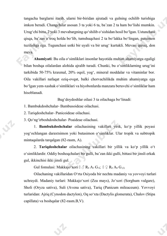 rg deyiladi. gultangacha barglar ichida 1, 2, 3 ta bo‘lib joylashgan kichkinagina yupqa parda bo‘lib, bu parda o‘zgargan gulqo‘rg‘on «lodekula» deb ataladi. lodekulalar tangacha barglarni itarib, ularni bir-biridan ajratadi va gulning ochilib turishiga imkon beradi. changchilar asosan 3 ta yoki 6 ta, ba’zan 2 ta ham bo‘lishi mumkin. urug‘chi bitta, 2 yoki 3 mevabargning qo‘shilib o‘sishidan hosil bo‘lgan. ustunchasi qisqa, ba’zan o‘troq holda bo‘lib, tumshuqchasi 2 ta bo‘lakka bo‘lingan, patsimon tuzilishga ega. tugunchasi ustki bir uyali va bir urug‘ kurtakli. mevasi quruq, don meva. ahamiyati: bu oila o‘simliklari insonlar hayotida muhim ahamiyatga egaligi bilan boshqa oilalardan alohida ajralib turadi. chunki, bu o‘simliklarning urug‘ini tarkibida 50-75% kraxmal, 20% oqsil, yog‘, mineral moddalar va vitaminlar bor. oila vakillari nafaqat oziq-ovqat, balki chorvachilikda muhim ahamiyatga ega bo‘lgan yem-xashak o‘simliklari va hiyobonlarda manzara beruvchi o‘simliklar ham hisoblanadi. bug‘doydoshlar oilasi 3 ta oilachaga bo‘linadi: 1. bambukdoshchalar- bambusoideae oilachasi. 2. tariqdoshchalar- panicoideae oilachasi. 3. qo‘ng‘irboshdoshchalar- poaideae …