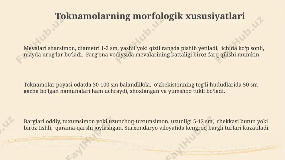 olarning ekologik ahamiyati токнамўлларнинг мевалари 30 га яқин қушлар ва ҳашоратлар учун муҳим озуқа манбаи ҳисобланиб, чўл ва чўл-саванна экотизимларида озиқ-овқат занжирини таъминлайди. токнамўлларнинг баъзи турлари, масалан, 5-7таси, қуруқчиликка чидамли бўлиб, 10% дан кам ёмғир ёғиши шарт бўлган ҳудудларда ҳам ўсиб, биологик хилма-хилликни сақлаб қолишда ёрдам беради. токнамўлларнинг 20 га яқин тури ўзбекистонда, хусусан, қорақалпоғистон ва фарғона водийсининг 1500-2500 метр баландликдаги тоғли ҳудудларида тупроқ эрозиясининг олдини олишда муҳим роль ўйнайди. toknamolarni himoya qilish va saqlash токнамоларнинг 50 дан ортиқ тури ўзбекистондаги 2 та муҳим ҳимояланган табиий ҳудудларда, хусусан, чўл тоғлари ва қизилқумда учрайди, уларнинг генетик хилма-хиллигини сақлаб қолиш учун кўплаб саъй-ҳаракатлар талаб этилади. токнамоларни муҳофаза қилишда маҳаллий аҳолининг иштироки жуда муҳим: 5 та қишлоқда 200 дан ортиқ кишига ўсимликнинг муҳимлиги ва уни сақлаб қолиш усуллари тўғрисида маълумот берилди, бу ҳимоя чораларининг самарадорлигини оширади. токнамолар популяциясини мониторинг қилиш учун 10 йиллик режа ишлаб чиқилган бўлиб, унда ҳар 2 йилда бир марта …
