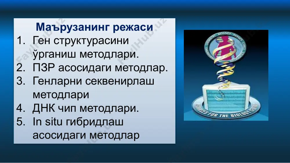 г фазовий тасвири. физик карта – днк молекуласи фрагментларини амал қилиш тартиби. улар орасидаги масофа нуклеотид жуфтлари билан аниқланади. рестрикцион карта – физик картани бир тури, узилиш сайтлари (днк рестриктазалар кесадиган ) орасидаги масофа ва амал қилиш тартиби (рестриктазалар танийдиган қисм 4-6 нуклеотидлар жуфтидан иборат). бу карта маркерлари рестрикцион фрагментлар (рестрикция сайтлари) молекуляр - генетик метод ёрдамида днк нинг маълум бир структурасидаги (аллель, ген, хромосома региони) вариациялар (жороҳатлар) ни аниқлаш ва азотли асосларнинг бирламчи кетма- кетлигини очиб бериш имконини беради. бу метод асосида днк ва рнк ларда амалга ошириладиган ген инженерлик манипуляциялари ётади. днк диагностикасини бевосита ва билвосита хилларига фарқлаймиз. блот -гибридизация пзр (полимер занжирли реакция) пзр методини ривожланиши тарихи. 1957 й. америкалик артур корнберг escherichia coli бактериясидан днк-полимераза фрагментини ажратиб олди. 1971 й. норвегиялик хьелль клеппе journal of molecular biology журналида мақола эълон қилди, бу мақоласида пзр га ўхшаш методни тушунтирди. 1976 й. ақш лик олимлар — эллис чиен, …