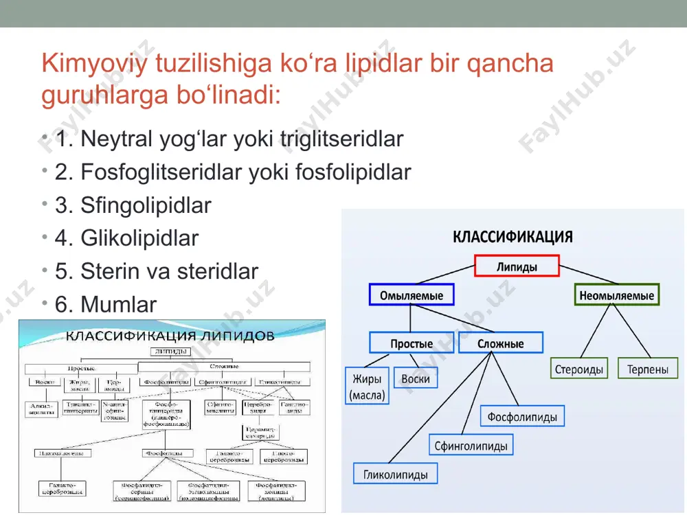 sifat reaksiyalari yog‘larning eruvchanligi reaktivlar: a) o‘simlik moyi (zig‘ir yoki paxta moyi), b) qattiq yog‘ (qo‘y yoki mol yog‘i), v) dietil efiri, g) atseton, d) etil spirti, e) distillangan suv. ishning bajarilishi: 4 tadan ikki qator qilib probirkalar qo‘yiladi. birinchi qatordagi probirkalarga bir necha tomchidan o‘simlik moyidan tomiziladi. ikkinchi qatordagilarga esa, qattiq yog`dan kichik bir bo‘lakdan solinadi. har ikkala qatorning birinchi probirkalariga 2 ml dan distillangan suv solinadi, ikkinchi probirkalarga shuncha miqdorda dietil efiri, uchinchi probirkalarga atseton, to‘rtinchi probirkalarga esa spirt solinadi. hamma probirkalar yaxshilab chayqatiladi va yog‘larning har xil erituvchilardagi eruvchanligi kuzatiladi. spirtli probirkani suv hammomida isitish tavsiya etiladi. tajribaning natijalari yozib qo‘yiladi. yog‘larning emulsiyalanishi reaktivlar: a) o‘simlik moyi, b) 2% li natriy karbonat, v) 2% li sovun eritmasi, g) o‘t suyuqligi, d) distillangan suv. ishning bajarilishi: 4 ta probirka olib, har biriga 5 tomchidan o‘simlik moyidan tomiziladi. birinchi probirkaga 2 ml distillangan suv, ikkinchi probirkaga 2 ml 2% …