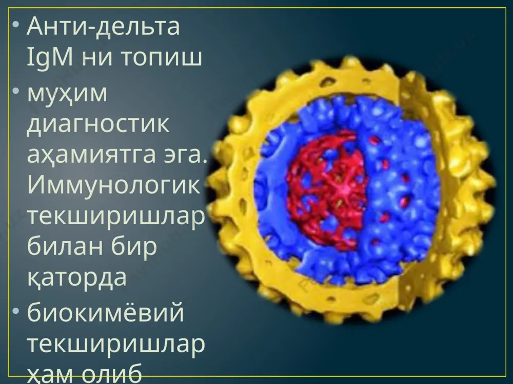 гепатит д (дельта инфекция) - Page 5