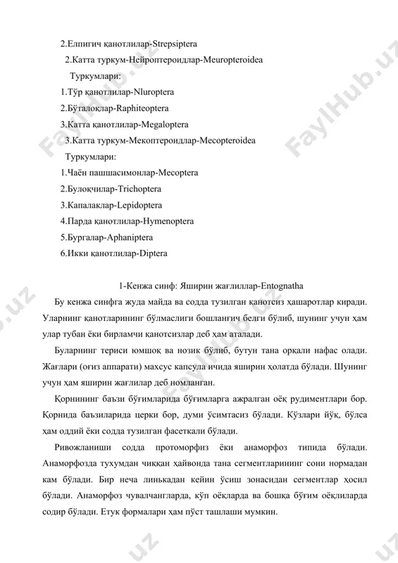 акиллари майда (0,5-2мм), гавдаси чувалчангсимон, эластик, боши прогнатик, яъни мўйловсиз ва кўзсиз бўлади. оғиз аппарати санчиб-сўрувчи типда, олдинги оёқлари анча узун бўлиб, сезиш вазифасини бажаради. вояга етганда қорни 11 та бўғимдан ва тельсондан ташкил топади. унда ўсимталар бўлиб, шаклининг ўзгариши тубан ҳашаротларга хос анаморфоз йўли билан боради. тухумдан чиққан личинкалар содда тузилган бўлиб, қорни 8 та бўғимдан иборат. кейинги ривожланиш даврида 8-бўғим билан тельсон ўртасидан 9,10,11-бўғимлар ҳосил бўлади. иккиламчи белги сифатида мўйловлар, кўзлар ва церкиларнинг қисқаришини кўрсатиш мумкин. мўйлов вазифасини шакли ўзгарган узун олдинги оёқлар бажаради. айрим турларида трахеялар ҳам қисқариб нафас олиш бутун гавда орқали амалга ошади. ўтлоқларда 1мм жойда 1000 тагача протура индивидлари учраши мумкин. протураларнинг 220 га яқин тури бўлиб, улардан ўзбекистон фаунасида eosentomon transitorum учрайди. 2-туркум-подуралар ёки дум оёқлилар-podura ёки collembola. бу туркум вакилларининг гавдаси узунчоқ ёки шарсимон бўлиб, мўйлови 4-6 та бўғимдан иборат, айрим турларида кўзи бор. оғиз аппарати кемирувчи ёки санчиб-сўрувчи типда бўлиб, қоринчаси …
