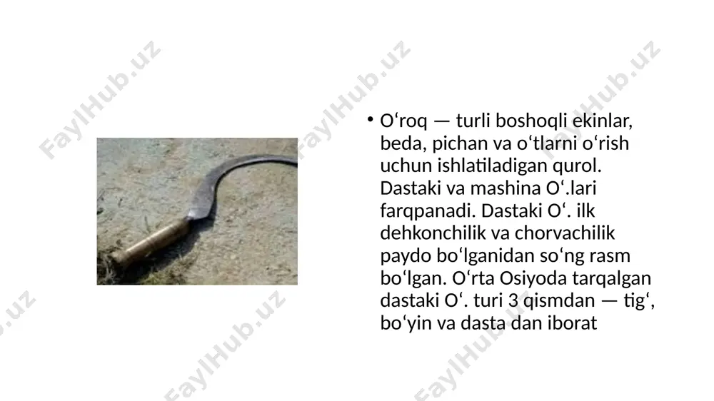 di. oʻroq — turli boshoqli ekinlar, beda, pichan va oʻtlarni oʻrish uchun ishlatiladigan qurol. dastaki (qoʻl) va mashina oʻ.lari farqpanadi. dastaki oʻ. ilk dehkonchilik va chorvachilik paydo boʻlganidan soʻng rasm boʻlgan. oʻrta osiyoda tarqalgan dastaki oʻ. turi 3 qismdan — tigʻ (yuqori qismi, uchi ichkariga sal qayrilgan), boʻyin va dasta (metall uchiga yogʻochdan oʻrnatiladi) dan iborat. oy shakliga yaqin tigʻli (tigʻi arrasimon tishli xili ham koʻp tarqalgan) va dastali oʻ. xili ham bor. tik yurib oʻrish uchun ishlatiladigan oʻ. chalgʻi oʻ., bel oʻ. deb ataladi. bunday oʻ. uzun yogʻoch dastali boʻladi. oʻ. dastlab neolit davrida paydo boʻlgan (yogʻoch, suyakka tigʻli tosh qadab tayyorlangan). eneolit davrida butunlay toshdan ishlangan. jez davrida metalldan tayyorlangan, ilk temir davridan boshlab temirdan ishlana boshlagan. oʻ. uzoq asrlar mobaynida asosiy qishloq xoʻjaligi qurollaridan biri boʻlib keldi. texnika taraqqiyoti tufayli oʻ. m a shinalari paydo boʻldi. ammo dastaki oʻ. turi hali ham keng ishlatiladi. oʻ. mashinasi qishloq …