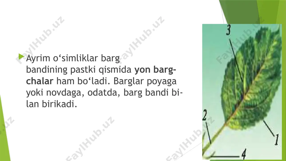 barg - Page 3
