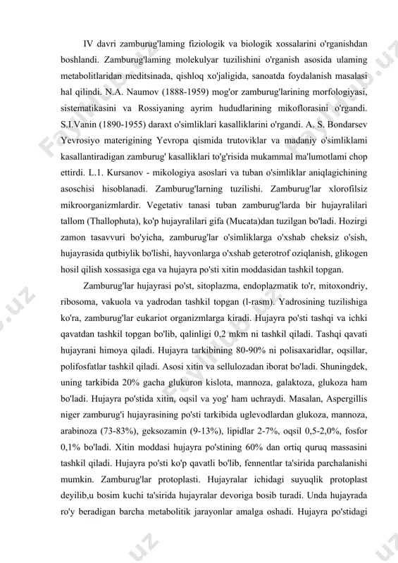 ilda u rossiyada birinchi bo'lib zamburug'lar aniqlagichini yaratdi. rossiya hududida uchraydigan zang zamburug'larining dastlabki tafsiloti y.g. transhelo (1939) tomonidan yozildi. xx asr boshlaridan zamburug'lar fiziologiyasi faniga asos solindi. mikologiya fani rivojlanishining iv davri zamburug'laming fiziologik va biologik xossalarini o'rganishdan boshlandi. zamburug'laming molekulyar tuzilishini o'rganish asosida ulaming metabolitlaridan meditsinada, qishloq xo'jaligida, sanoatda foydalanish masalasi hal qilindi. n.a. naumov (1888-1959) mog'or zamburug'larining morfologiyasi, sistematikasini va rossiyaning ayrim hududlarining mikoflorasini o'rgandi. s.i.vanin (1890-1955) daraxt o'simliklari kasalliklarini o'rgandi. a. s. bondarsev yevrosiyo materigining yevropa qismida trutoviklar va madaniy o'simliklami kasallantiradigan zamburug' kasalliklari to'g'risida mukammal ma'lumotlami chop ettirdi. l.1. kursanov - mikologiya asoslari va tuban o'simliklar aniqlagichining asoschisi hisoblanadi. zamburug'larning tuzilishi. zamburug'lar xlorofilsiz mikroorganizmlardir. vegetativ tanasi tuban zamburug'larda bir hujayralilari tallom (thallophuta), ko'p hujayralilari gifa (mucata)dan tuzilgan bo'ladi. hozirgi zamon tasavvuri bo'yicha, zamburug'lar o'simliklarga o'xshab cheksiz o'sish, hujayrasida qutbiylik bo'lishi, hayvonlarga o'xshab geterotrof oziqlanish, glikogen hosil qilish xossasiga ega va hujayra po'sti xitin moddasidan tashkil …