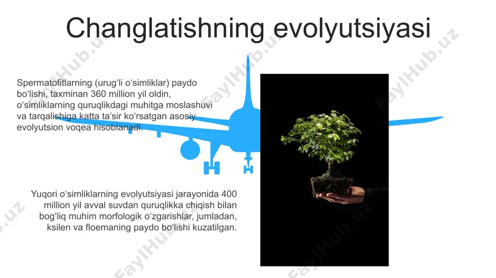 yuksak oʻsimliklarning kelib chiqish evolutsiyasi - Page 5