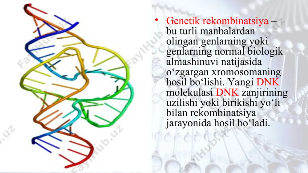 ko‘payishi mumkin. undan tashqari, rekombinant plazmid vektor avtonom replikatsiyalanuvchi plazmid bo‘lsa, yot dnk bo‘lagini yana o‘nlab barobar ko‘paytirish mumkin yot dnk bo‘lagini rekombinant vektor konstruksiyalar vositasida ko‘paytirish genlarni klonlash deb ataladi. dnk bo‘lagini klonlashda vektor sifatida virus va fag dnk molekulasidan yoki ko‘chib yuruvchi genetik elementlardan ham foydalanish mumkin. biotexnologiya – yirik muammolarni oziq-ovqat, sanoat, sog’liqni saqlash, kishlok xujaligida xayotiy jarayonlarni tezlashtirishga karatilgan sistemalar yigindisidan iborat. jaxonda yirik biotexnologik markazlar aksh da : genenteeh, cetus,biogen, limunogen. yaponiyada: suntory, asahi chemicol, industry, bidec; germaniyada: boehringer mann heim, linvitron fransiyada: biofrance, paribos carteks va boshkalar. demak, gen muhandisligida quyidagilar amalga oshiriladi: kerakli genga ega donor organizmlardan zarur genlar ketma-ketligiga ega bo‘lgan dnk molekulasi ajratib olinadi. donor dnksining zarur geni fermentlar ta’sirida boshqa qismlardan ajtatib olinadi. retsipiyent hujayra (qabul qiladigan hujayra)ga biror genni kiritish uchun mazkur hujayraga kira oladigan uncha katta bo‘lmagan dnk molekulasidan foydalaniladi. bunday molekula vektor deyiladi. dnk-vektorni donor genini kiritish …