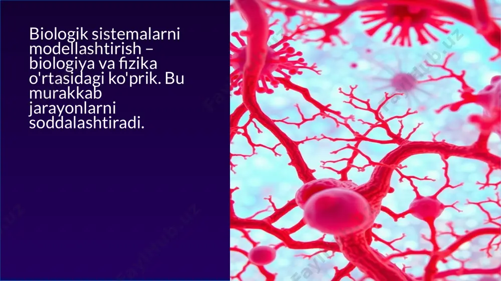 to add text click to add subtitle biologik sistema modellari biologik sistema modellari biologik sistemalarni modellashtirish – biologiya va fizika o'rtasidagi ko'prik. bu murakkab jarayonlarni soddalashtirad i. tabiatda mavjud murakkab jarayonlarni tushunish uchun modellashtirish. biologiyada turli sistemalar va ularning ishlash prinsiplari . model — real hodisa yoki sistemaning soddalashtirilgan nusxasi. maqsad: murakkab jarayonlarni tushunish, prognoz qilish va boshqarish. biologiyada modellashtirish — organizm, hujayra yoki ekologik tizimlarni tadqiq qilish vositasi. biologik sistema modellarining turlari deterministik aniq tenglamalar asosida quriladi . stoxastik ehtimollik nazariyasiga asoslangan. agent-asoslangan alohida agentlarning o'zaro ta'siri . biologik sistemalarning o'ziga xos xususiyatlari 1 o'z-o'zini tashkil etish 2 murakkablik 3 moslashuvchanlik biologik sistemalarni modellashtirish – biologiya va fizika o'rtasidagi ko'prik. bu murakkab jarayonlarni soddalashtiradi. biologik modellarning turlari matematik modellar – jarayonlarni tenglama va formulalar yordamida ifodalaydi. kompyuter modellar – simulyatsiya va dasturlar orqali o‘rganish. fizik modellar – laboratoriyada yaratilgan maket yoki tizim nusxalari. grafik modellar – sxema, chizma, diagramma …