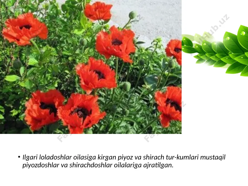 loladoshlar oilasi. 6 - sinf - Page 3