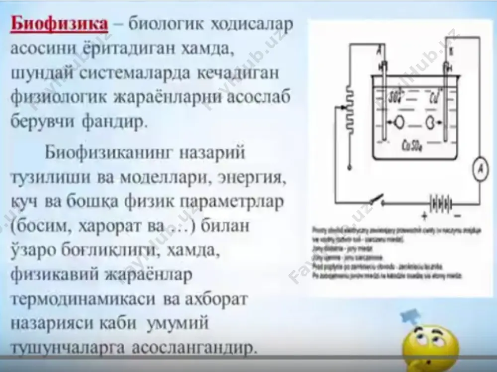 biofizika fanining tibbiyotdagi ahamiyati - Page 3