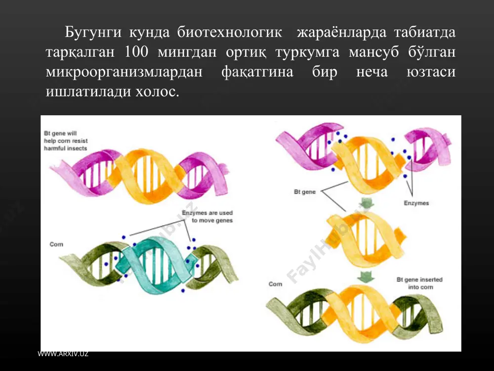 биотехнологияда ген мухандислиги - Page 4