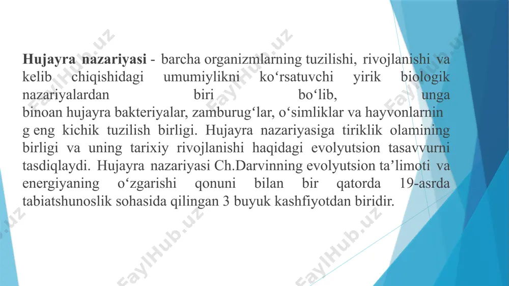 «mitti yulduz» — 2019 2.https://uz.wikipedia.org/ 3. https://e-library.namdu.uz/ e’tiboringiz uchun rahmat ! image1.png image2.png