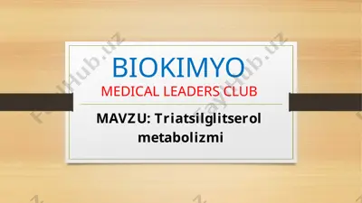 triatsilglitserol metabolizmi — PPT