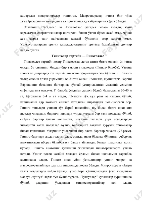 чиқадиган махсус „тўпгул" ларда тўп бўлиб туради. „тўпгуллар” кучалалар кўринишида бўлиб, уларнинг ўқларидан микроспорангийлар жой олади, микроспорангийлар узун оёқчада туради ва ҳар бир оёқчада, одатда, иккитадан бўлади. спорангий билан оёқчаси микроспорофиллни ташкил қилади. бу ўринда микроспорофилл, кўпинча, чангчи деб аталади. макроспорангийлар ёки уруғкуртаклар ҳам барг қўлтиқларидаги калта новдачаларда ривожлаиади. уруғкуртаклар узун оёқчанинг қалинлашган устки қисмида иккитадан бўлиб жойлашади. уруғкуртаклар асосининг атрофида ҳалқасимон валик бор. мана шу тузилмаларнинг ҳаммаси (уруғкуртак оёқча, валик) макроспорофилл деб қаралади. гинкгонинг уруғкуртаги cйcас уруғкуртагига ўхшаб тузилган. унинг битта қалин қоплағичи бор, қоплағичнинг учи чўзилиб, икки паллали микропилега айланган. қоплағич ичида нутселлус туради, унда эндосперм ёки архегонийли гаметофит бўлади. нутселлуснинг учида чанг камераси ҳосил бўлади. микроспоралар (чанглар) микроспорангий ичида тараққий қилади ва деворининг узунасига ёрилган жойидан тўкилиб, шамол билан уруғкуртакка ўтади ҳамда микропиле орқали чанг камерасига тушади. микроспора, худди cйcасдагидек, шу пайтда уч ҳужайрадан: проталлиал, антеридиал ҳужайралар ва чанг найчаси ҳосил қилувчи ҳужайрадан иборат бўлади. шу ҳужайраларнинг …
