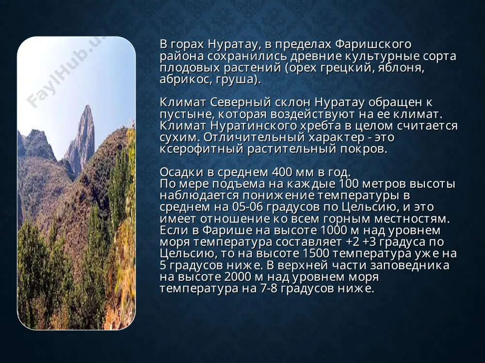 авленные ивой, тополем и др. нуратау взят на учет центральной лабораторией ан ру как интересный ботанический объект. кустарники произрастают в самых труднодоступных местах. животный мир представлен 50 видами, из которых 9 редких видов. основными объектами фауны являются: европейские виды: лесная соня, грызуны, козодой, дрозд деряба. среднеазиатские виды: баран северцева, черная каменка, стервятник. эндогималайские виды: дикобраз, длиннохвостый сорокопут, дрозд фиолетовый, сизоворонка и др. пустынные центрально-азиатские виды: длинноногий ёж, краснохвостая песчанка, тушканчик северцева, жёлтый суслик, кабан, кеклик. представлено около 90 видов птиц (из них 14 видов оседлых, 145-150 видов пролетных видов, 9 редко встречающихся видов). фауна позвоночных насчитывает 30 видов: кабан, волк центральноазиатский, корсак, лисица, каменная куница, ласка, перевязка (хорёк), степная кошка, заяц-толай, дикобраз, кеклик, перепел, рябки белобрюхие и чернорбрюхие, дрофа. джек - дрофа красотка, белоголовый сип, бородач, беркут, соколы и т.д. достопримечательности: хвойные деревья, биота восточная, посаженная во времена походов приближенными александра македонского, соленое высокогорное озеро "фазылман". экотуризм в нуратинском заповеднике …