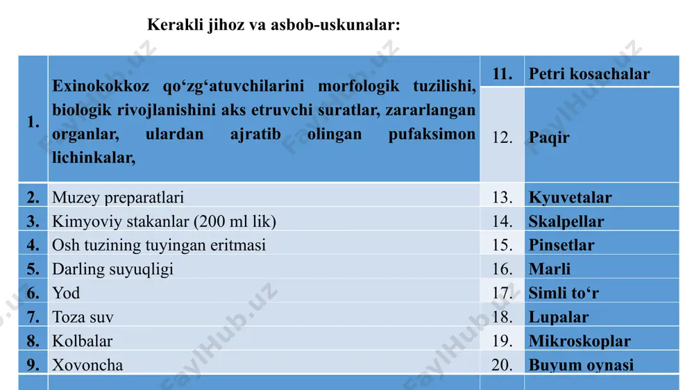 0 kundan (kuzatuv muddati) ham ko‘proq. exinokokk pufaklarni invazion bosqichga etish muddati ham oraliq xo‘jayin turlariga bog‘liq holda 12-24 oyga teng. qo‘zg‘atuvchining anatomo - morfologiyasi. echinococcus granulosus larvae – bu bir kamerali pufak bo‘lib, ichi suyuqlik bilan to‘lgan. exinokokk pufagining kattaligi no‘xat doni kattaligidan to yangi tug‘ilgan yosh bola boshidek kattalikda bo‘ladi. exinokokk suyuqligi oraliq xo‘jayinlarining qon mahsuloti bo‘lib, skolekslar uchun himoya va ozuqa muhiti vazifasini bajaradi. pufak devori ikki qatlamdan iborat, tashqi –kutikulyar va ichki germinativ qobig‘. kutikulyar qobiq oq-sut rangida, echki pufaklarda esa u biroz xiralashib sarg‘ich tusga kiradi. ichki germinativ qobiq-bu murg‘ak yoki pushtli qobiq deb yuritiladi, u juda ham yupqa va nozik bo‘lib, unda parazitning pushtchalari (protoskolekslari yoki skolekslari) ichiga qayrilib yopishgan holatda, yoki pufakning tagida oq cho‘kmani hosil qilgan bo‘lishi mumkin. ichki germinativ qobiq ekzo- va endogen yo‘llar orqali kurtaklanib ikkilamchi (qizlik) va uchlamchi (nevaralik) pufaklarni hosil qilish qobiliyatiga ega, ularning ham ichi suyuqlik bilan …