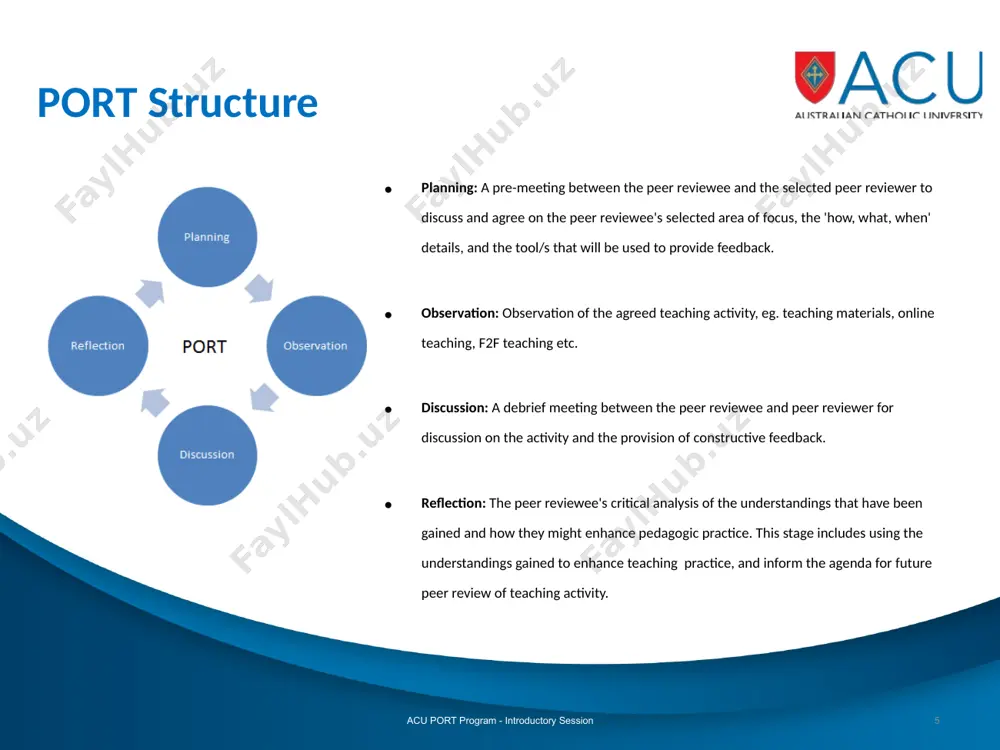 peer observation & review of teaching (p.o.r.t.) - Page 5