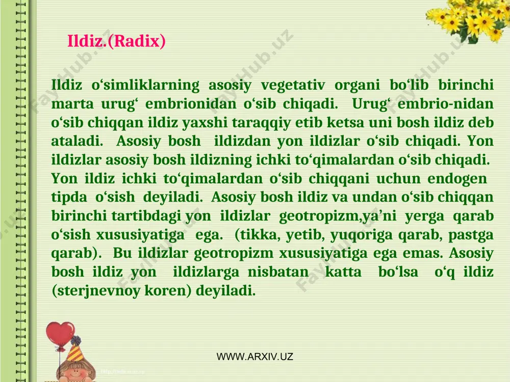 o‘simliklarda nafas oluvchi ildizlar ham bo‘ladi. nafas oluvchi ildizlar o‘simlikning pastki qismida, ya’ni yer tagiga yer ustiga qarab o‘sadi. m: botqoq sarvisi-kirishi mumkin. ba’zi bir o‘simliklarda tirgak ildizlar bo‘ladi. m: tropik o‘simliklardan fikusda ko‘rish mumkin. tirgak ildizlar o‘simlikning yuqori qismidan chiqib pastga qarab o‘sadi. shu bilan u yerga qadalib o‘simlikning tanasini tutib turadi. ildiz sistemasi o‘simliklarning yer ustki qismlariga nisbatan ba’zan 5-15 martagacha katta bo‘ladi. www.arxiv.uz www.arxiv.uz ildiz faqat murakkab tuzilgan yuqori o‘simliklarda bo‘ladi. suv o‘tlarida va moxlarda ildiz bo‘lmaydi. bu o‘simliklarda ildiz o‘rnida bir yoki ko‘p xujayrali tuklar bo‘ladi. bu tuklarni rezoidlar deb ataydi. shu rezoidlar yordamida suv va suvda erigan mineral moddalarni shimib oladi. yuqori sporali o‘simliklarda suv qirqqulog‘ida ham ildiz bo‘lmaydi. ildiz vazifasini qiyofasini o‘zgartirgan barglar bajarib turadi. yuqori o‘simliklardan shumg‘iya, zarpechak, devpechak o‘simliklarida ham ildiz bo‘lmaydi. bu o‘simliklar parazit holda hayot kechiradilar. o‘zining so‘rg‘ich tuklari yordamida boshqa o‘simliklardan oziqli moddalarni so‘rib oladi. dukkakdoshlar oilasiga kiruvchi o‘simliklarning …