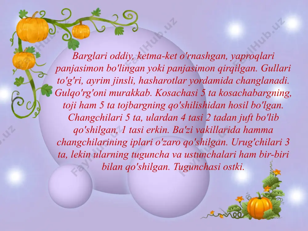 qovoqdoshlar oilasi - Page 3