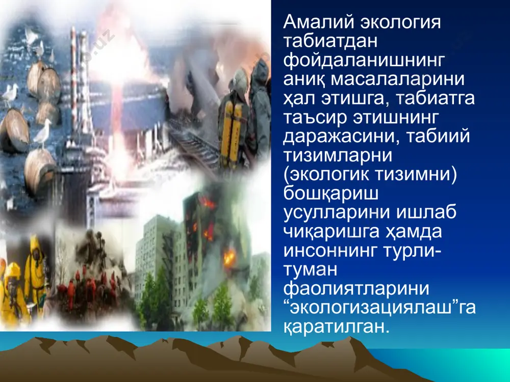 табиий экологик тадқиқот ишларининг асосий босқичлари - Page 5
